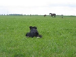 Tess in trance